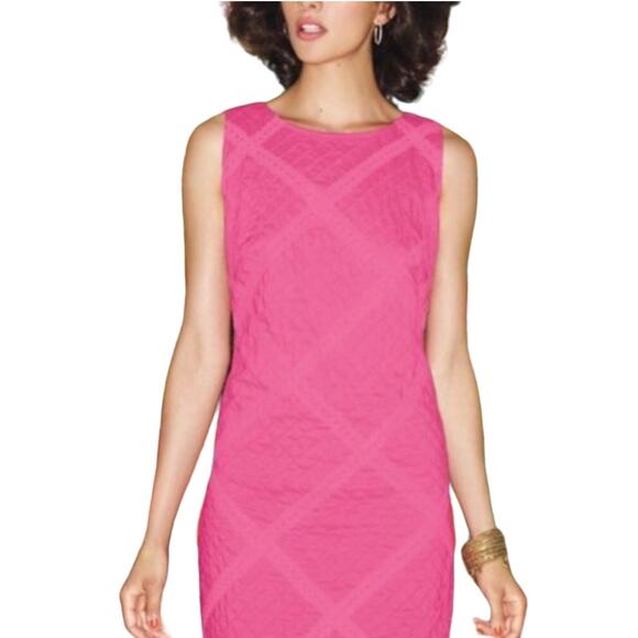 Lilly Pulitzer Dresses & Skirts - Lilly Pulitzer Sunshine Sleeveless Mini Dress in Hotty Pink Lace